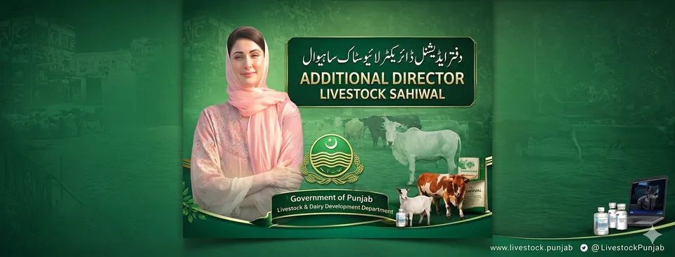 Office of Additional Director Livestock Sahiwal cover