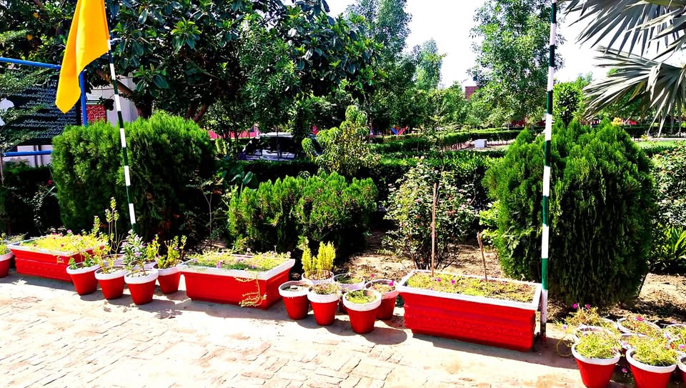 Govt Girls Higher Secondary School, Jahaz Ground cover