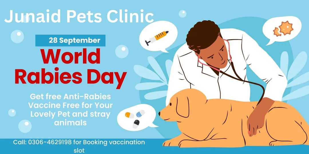 Gallery photo of Junaid Pets Clinic Sahiwal