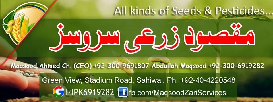 Gallery photo of Maqsood Zarai Services Sahiwal