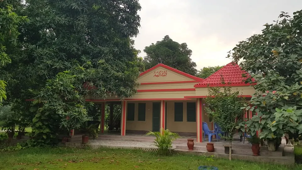 Gallery photo of Malik Fruit Farm