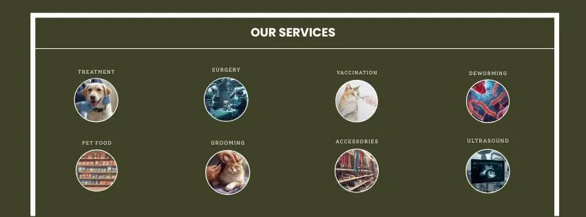 Gallery photo of Almas Pets clinic