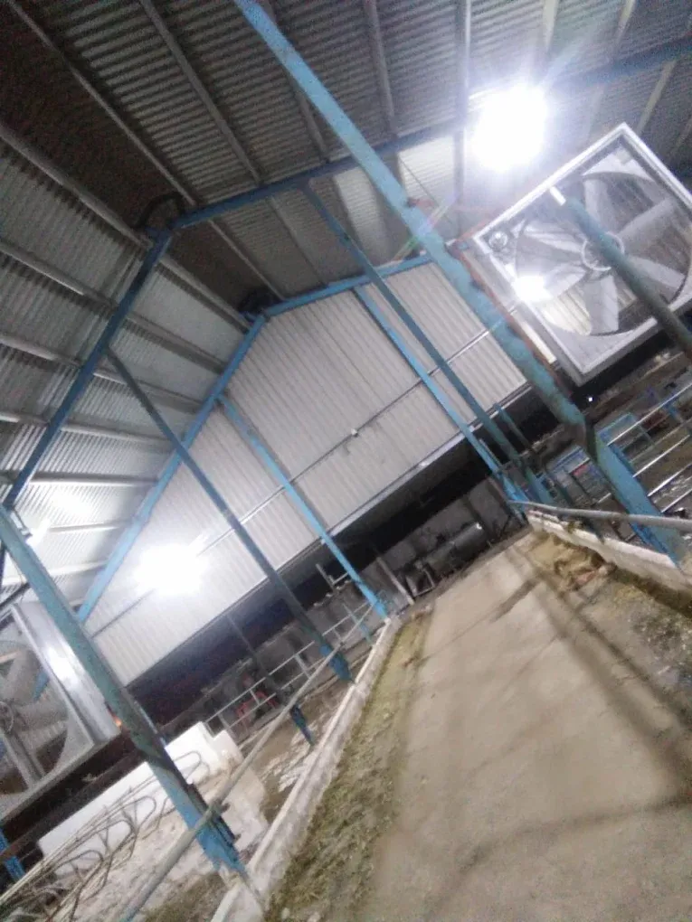 Gallery photo of SAHIWAL DUTCH DAIRY FARM (SDDF)