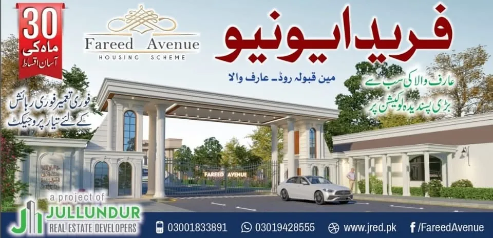 Gallery photo of Farid Avenue