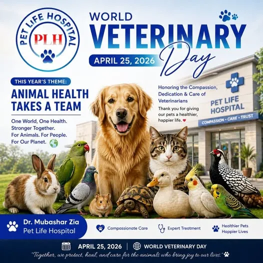 Gallery photo of Pet Life Hospital