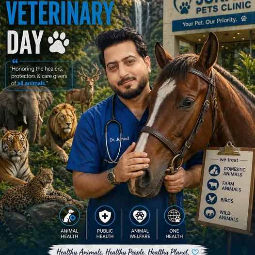 Gallery photo of Junaid Pets Clinic Sahiwal