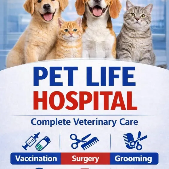 Gallery photo of Pet Life Hospital