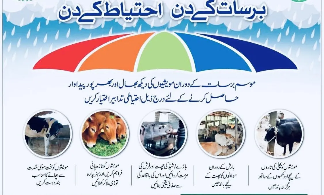 Gallery photo of Punjab Veterinary Clinic and Services