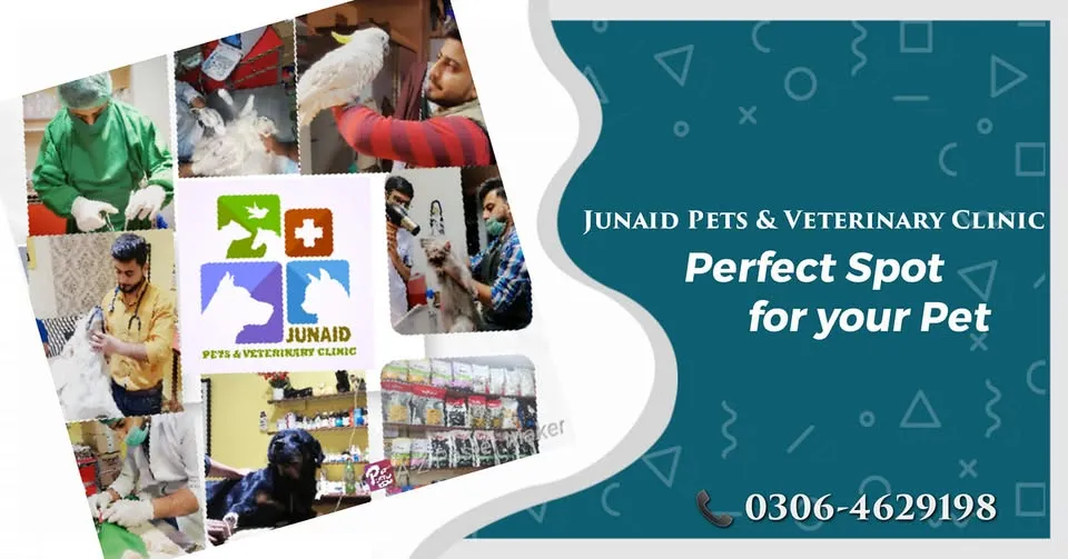 Gallery photo of Junaid Pets Clinic Sahiwal