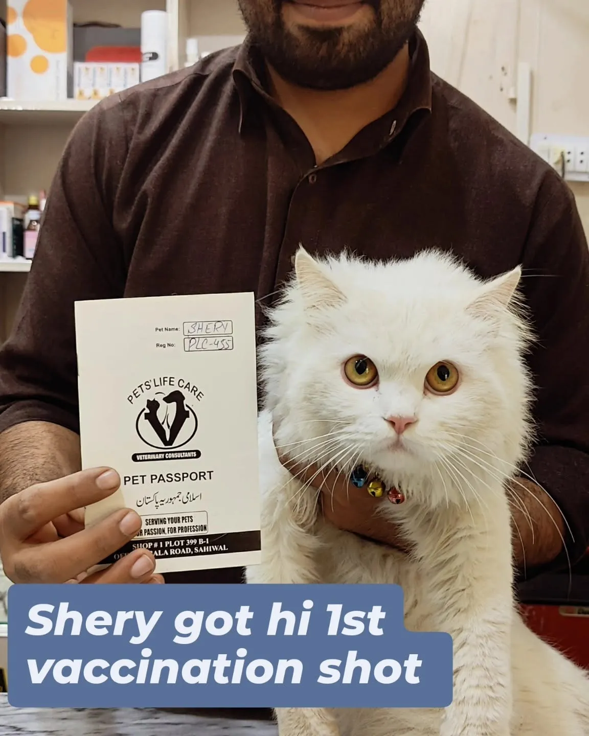 Gallery photo of Almas Pets clinic