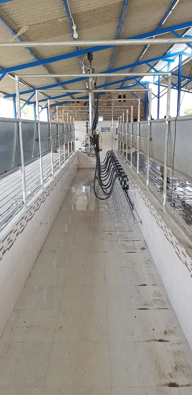 Gallery photo of Rai Dairy & Agriculture Farm Sahiwal