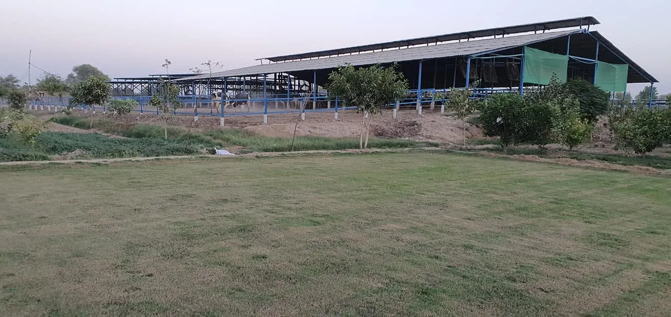 Gallery photo of Rai Dairy & Agriculture Farm Sahiwal