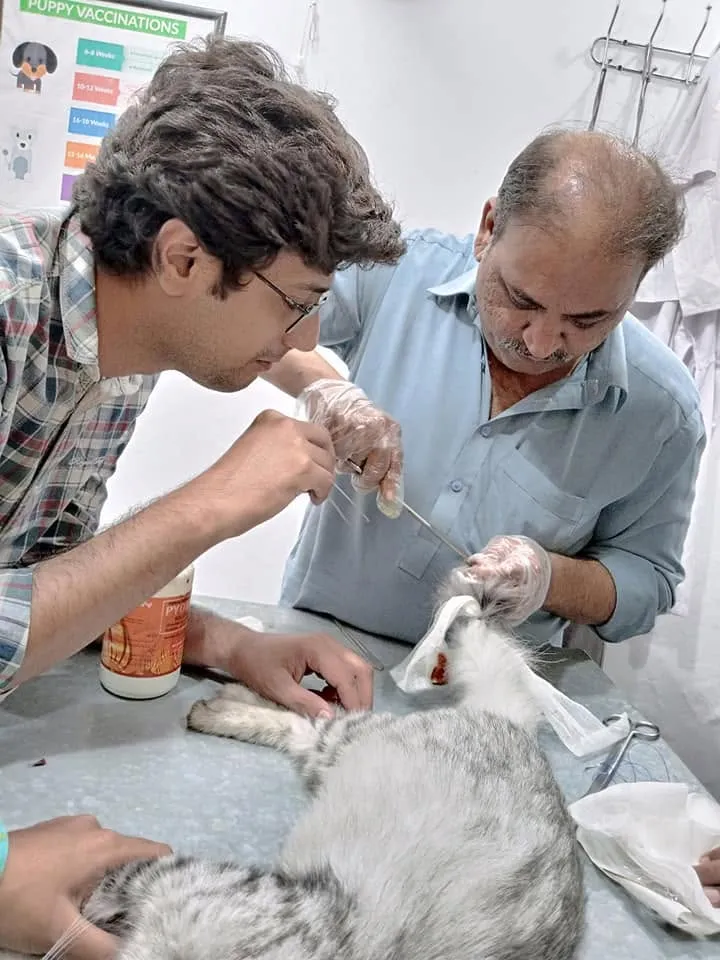 Gallery photo of City Pet Clinic