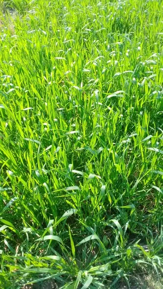 Gallery photo of FRZ Farming Services Private Limited