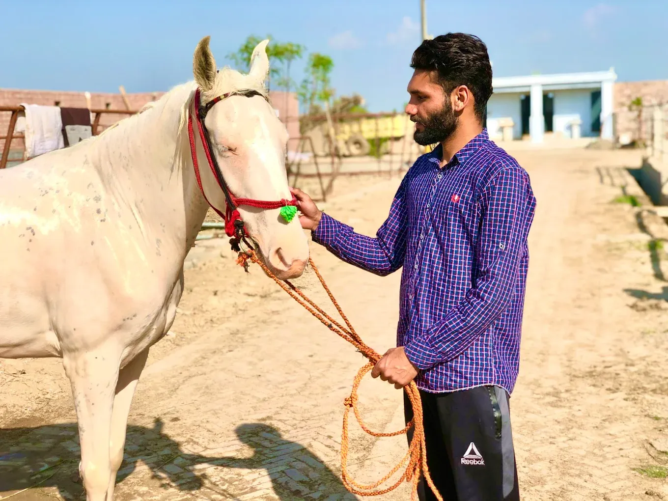 Gallery photo of Qaiser livestock (pvt) ltd.