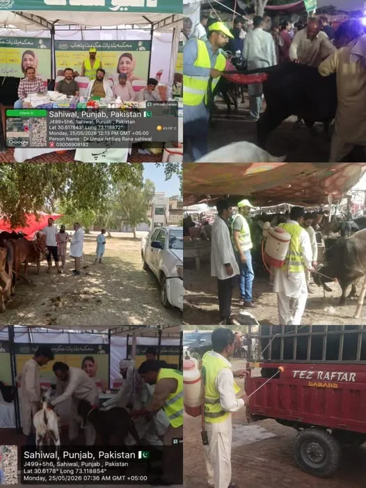 Gallery photo of Office of Additional Director Livestock Sahiwal