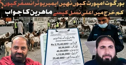 Gallery photo of Sahiwal Cattle Market