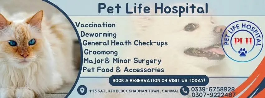 Gallery photo of Pet Life Hospital