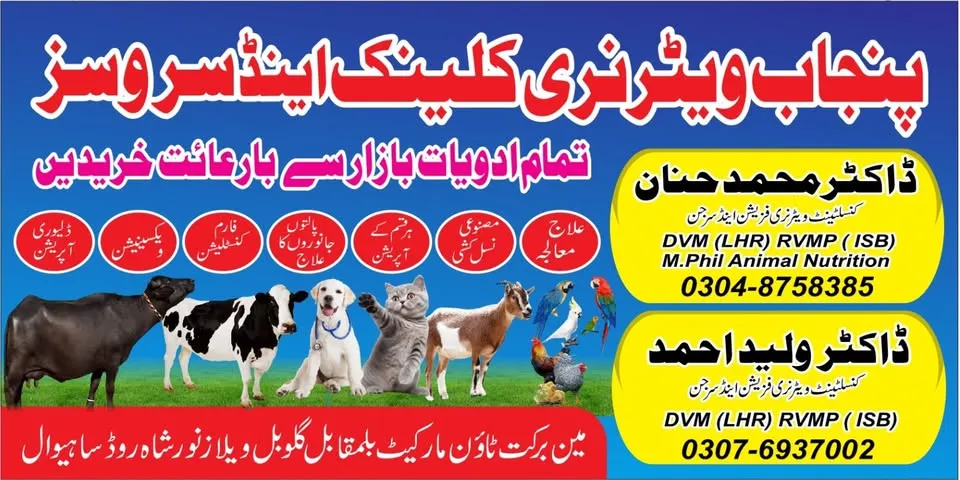 Gallery photo of Punjab Veterinary Clinic and Services