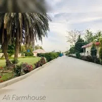 Ali farmhouse logo