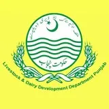 Office of Additional Director Livestock Sahiwal logo