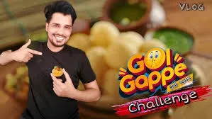 Fantastic Foods And Gol Gapy logo